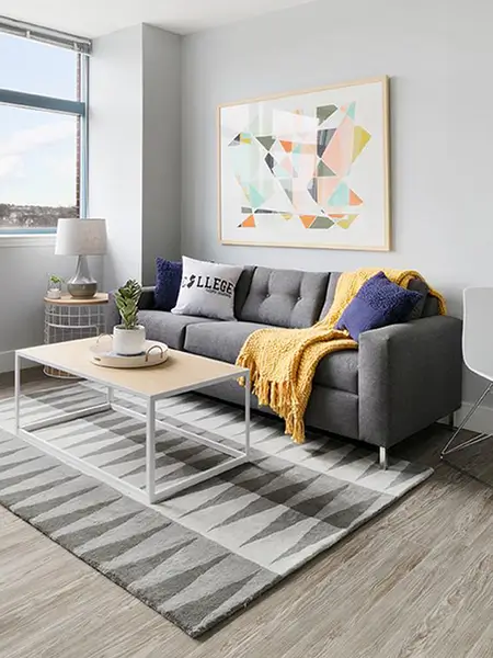 furnished apartment living space