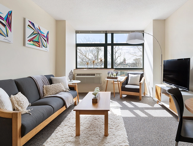 furnished apartment living space